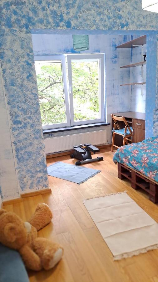Daria Lorenzo Apartament Temesvár Kültér fotó