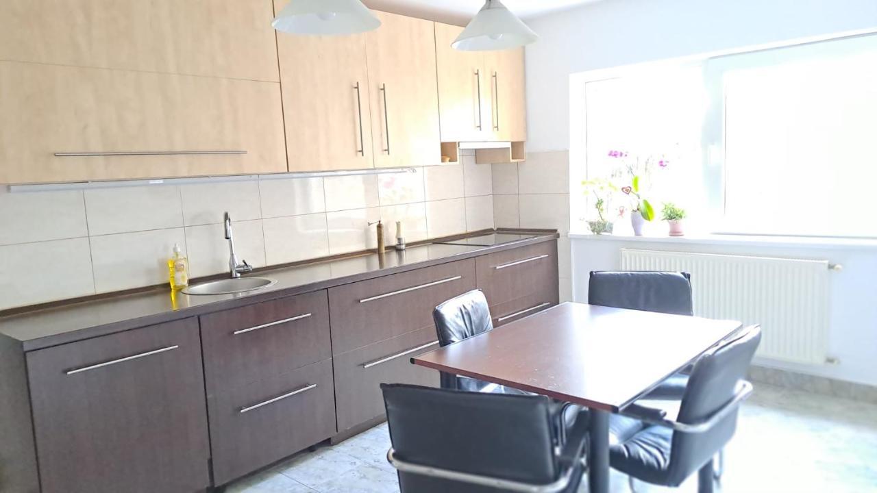 Daria Lorenzo Apartament Temesvár Kültér fotó